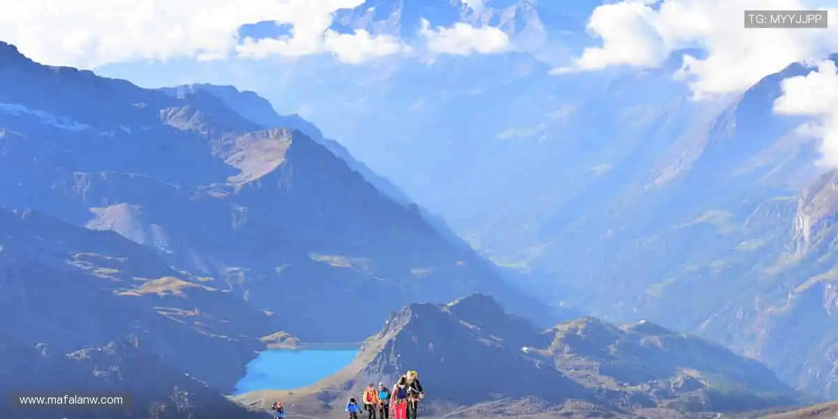 🏀 实时比分，尽在掌握！赛程动态更新，不错过任何逆转📊